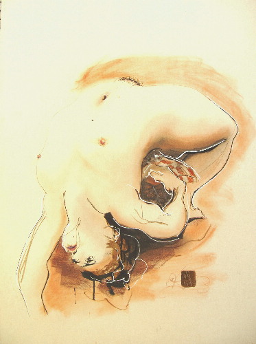 image13