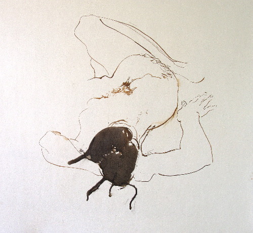 image16
