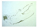 thumbnail21