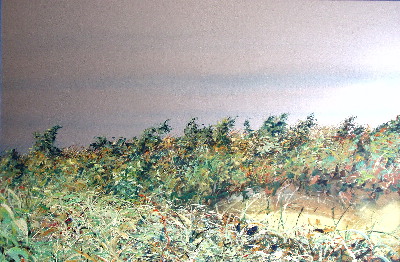 image6