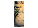 thumbnail17