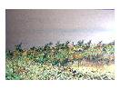 thumbnail6