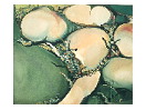 thumbnail10