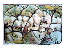 thumbnail23