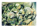 thumbnail6