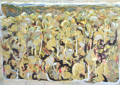 image8